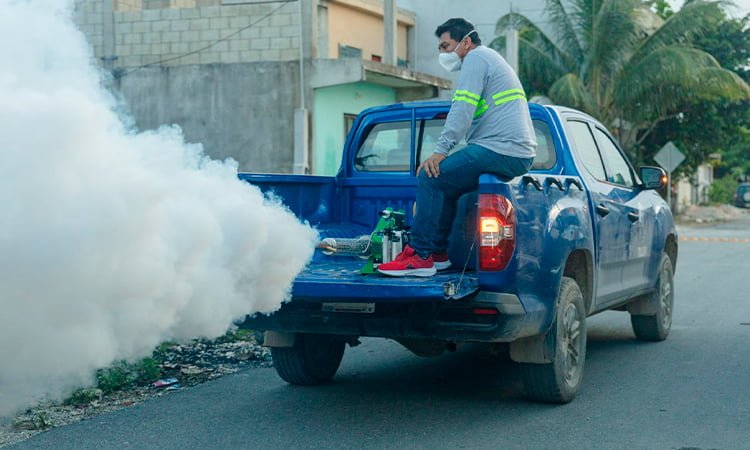 Tulum Launches Anti-Mosquito Strategy