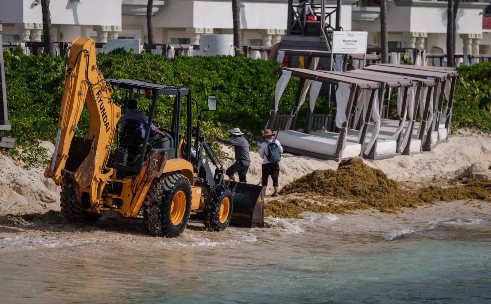 A backhoe loader and two workers clearing seaweed on a sandy beach near the water's edge, with beach cabanas and lush greenery in the background.